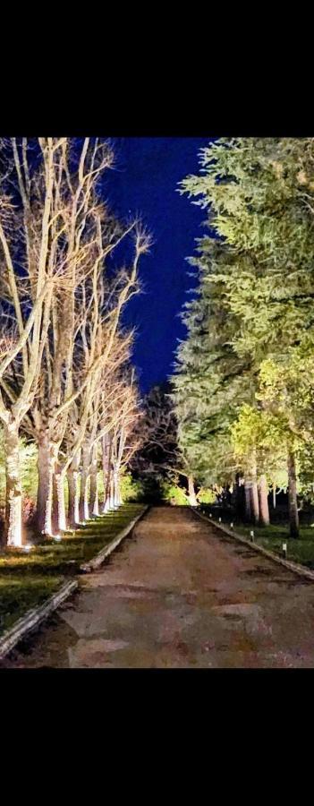 סן לזרו די סבנה La Casa Nel Parco Luxury B&B מראה חיצוני תמונה